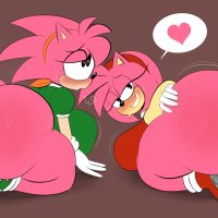 sega sonic series sonic the hedgehog series amy rose classic amy rose